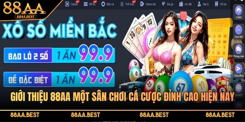 Giới thiệu 88AA một sân chơi cá cược đỉnh cao hiện nay